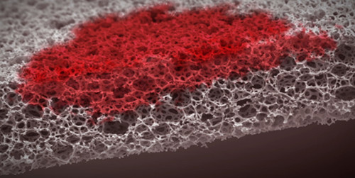 New Reinnervate video explores the benefits of 3D cell culture