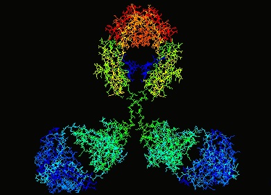 AMSBIO:Custom Phospho-Specific Antibody Production Service