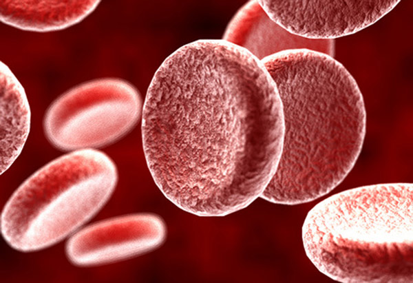 AMSBIO & Sanguine Biosciences Announce Distribution Agreement