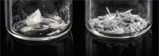 eXalt enables a wide range of solvents and multiple actives to be evaporated all at the same slow rate, and under the same conditions, giving the user unprecedented control of the crystallisation process. 