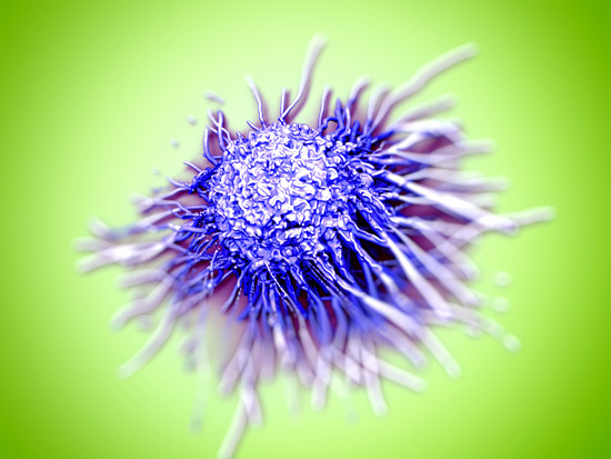 As one of Cancer Research UK’s core-funded institutes - the Beatson Institute (www.beatson.gla.ac.uk/) carries out a program of world-class science directed at understanding key aspects of cancer cell behaviour