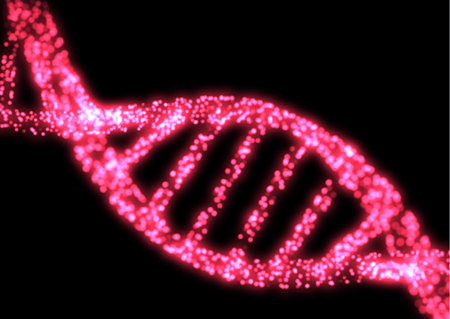 AMSBIO: Guaranteed Knockdown for siRNA Gene Silencing