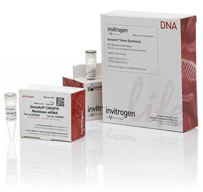 GeneArt CRISPR products from Thermo Fisher Scientific leverages the type II CRISPR (clustered regulatory interspaced short palindromic repeats)/Cas9 system for genome editing.