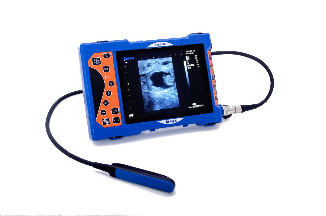 Cheap Portable Dog Pig Sheep Cow Horse Veterinary Ultrasound Machine