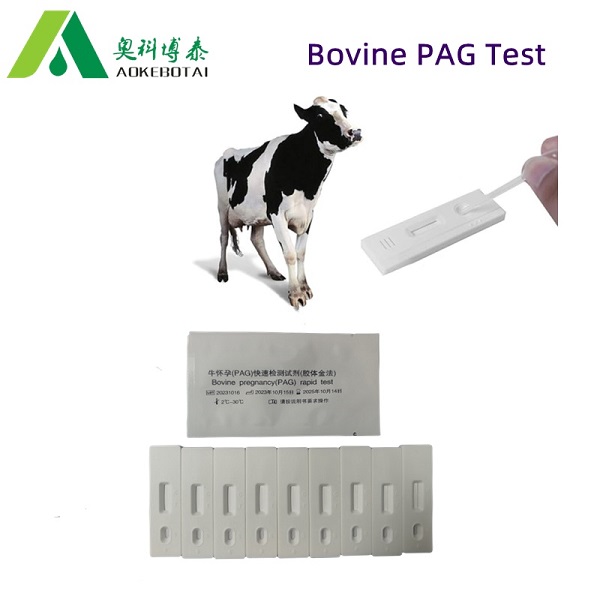 bovine-pag-test-reagent-to-detect-the-early-pregnancy-of-the-cattle