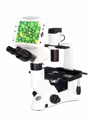 Digital LCD Inverted Biological Microscope,Wuzhou New Found Instrument ...