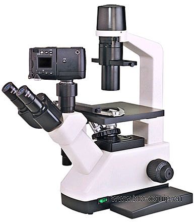 Inverted Microscope,Chongqing Optec Instrument Co.,Ltd_specification ...