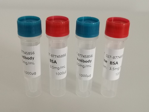 Mycobacterium tuberculosis (TB10 + 6) antigen,Ecalbio_specification ...