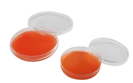 JET BIOFIL® Luminescence Test Plate,Guangzhou JET Bio-Filtration ...
