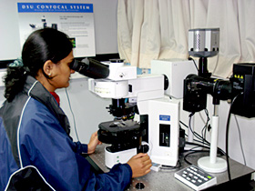 Interior view of the NCBS/Olympus Micro-Imaging Centre