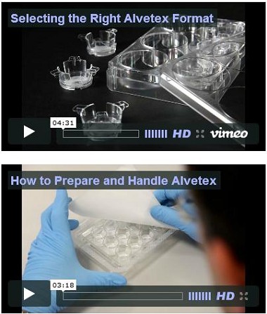 Unique 3D Cell Culture Technology