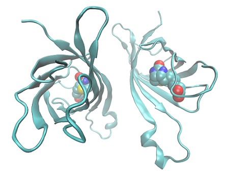 www.idtdna.com