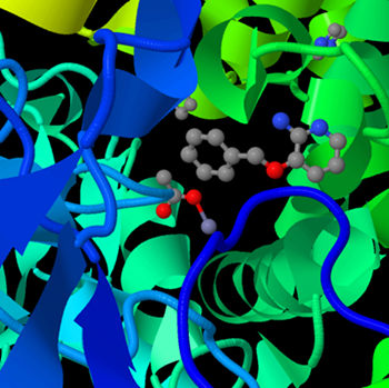 Thermo Fisher Scientific Selected by Leading Dutch Biotech Company to Supply Maybridge Fragment Library for Key Research