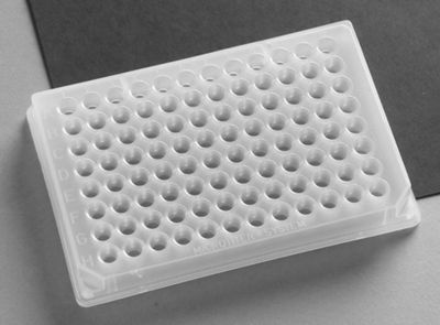 shallow 96-well plates 