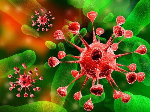 AMSBIO : Stable Cell Line Generation Using Lentivirus