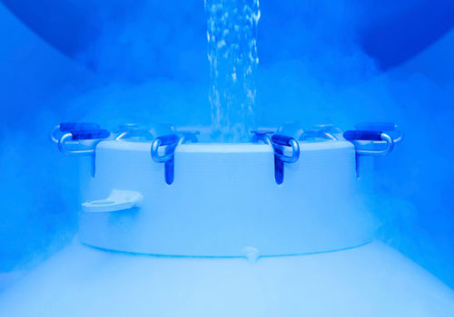 AMSBIO: Improved cryopreservation of human hepatocytes
