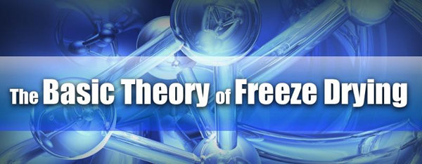 SP Scientific: Freeze Drying 101 : Back to Basics Training Course