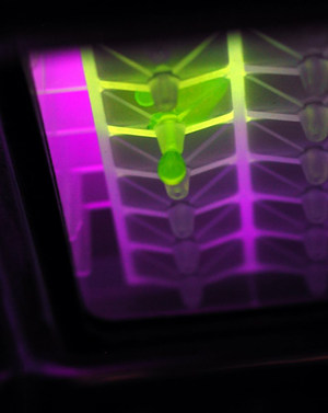 Porvair: Multi-Well Plates Ensure High Filtered Sample Integrity