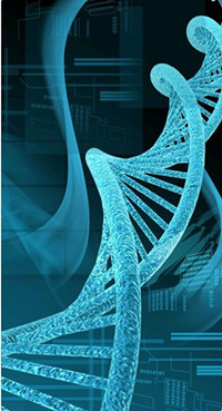 AMSBIO: Purified Genomic DNA and cDNA Products Save Research Time