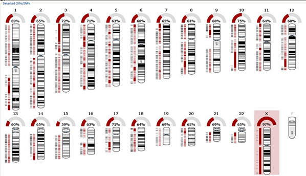 New application note examines the application and benefits of combined aCGH +SNP arrays