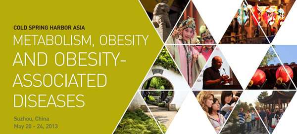 Metabolism, Obesity and Obesity-associated Diseases