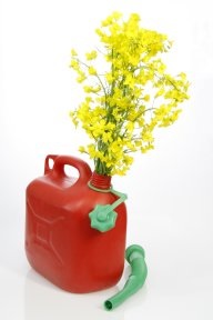 Genevac: Drying of Oil, Fuel and Fat Samples