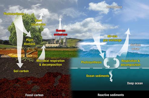 Exeter Analytical: Elemental Analyser Assists Monitoring of the Carbon Cycle