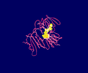 AMSBIO: Highly Specific Aptamer Protein Precipitation Kits 