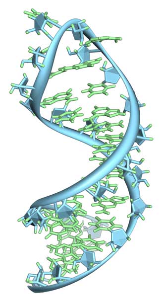 AMSBIO:Custom designed long and highly modified mRNAs