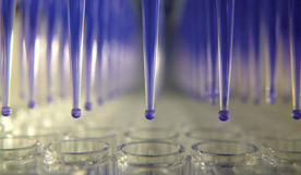 AMSBIO:High Throughput 96- & 384-Well DNA Purification MagSi-DNA cleanFIX 
