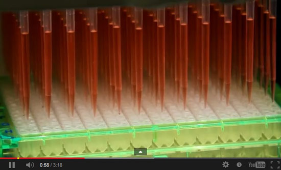 INTEGRA:High Throughput Screening of Cellular Bioenergetics