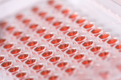 AMSBIO: Fluorescence-based Mitochondria / Metabolism Assays