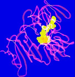 AMSBIO:Aptamer Kits for Cell Isolation & Flow Cytometry