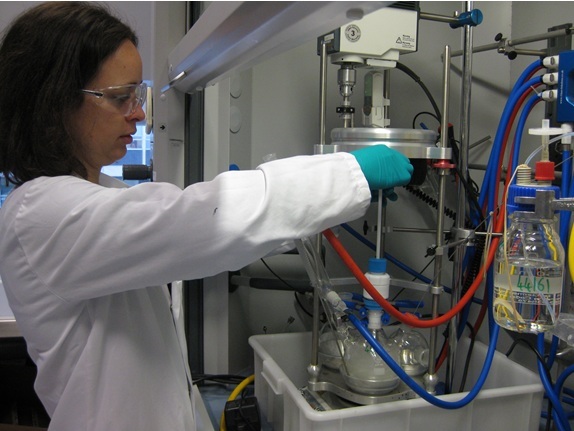 Asynt:Overhead Stirrer Provides an Effective Tool for Rapid Screening