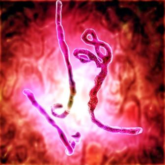 AMSBIO: Ebola Antigens and Antibodies for ELISA