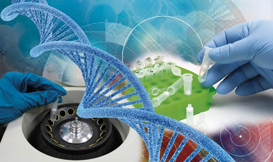 Porvair Sciences Expands Product Range for Epigenetics
