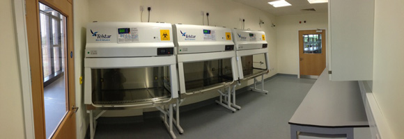 Terrassa (Barcelona) 2014, March 18th. A complete package comprising 63 cabinets developed by Telstar has been delivered to the new Biomedical Science Research Facility at the National University of Ireland in Galway (NUI Galway). The activities of NUI Galway’s Biomedical Science Research Facility are specifically directed towards cancer research, regenerative medicine and glycosciences. The cabinets provided by Telstar have been designed considering specific bioprocessing applications in the medical and clinical research field. 