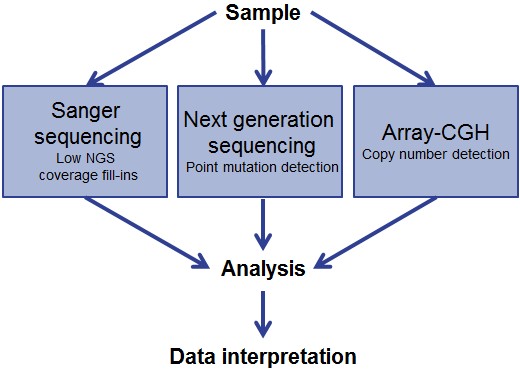 Oxford, UK – 09 April 2014. Oxford Gene Technology (OGT), The Molecular Genetics Company, has produced a new whitepaper titled ‘Comprehensive genomic analysis – complementing sequencing with high-resolution CNV detection’. 