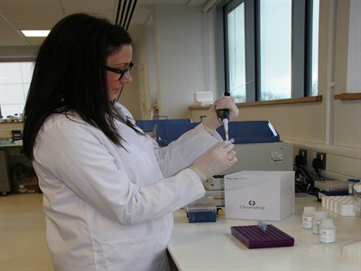 Chromatrap®, the novel solid-based matrix for chromatin immunoprecipitation (ChIP) assays, available from Porvair Sciences, has been successfully used to isolate high quality chromatin from difficult biopsy material.