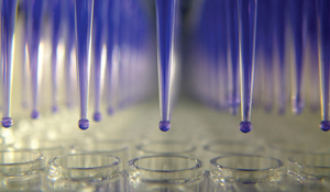 The simple and flexible protocols employed using MagSi-NGSPREP can be adjusted to your specific application and NGS platform. MagSi-NGSPREP can be used manually but is also easy to automate for high-throughput processing. 