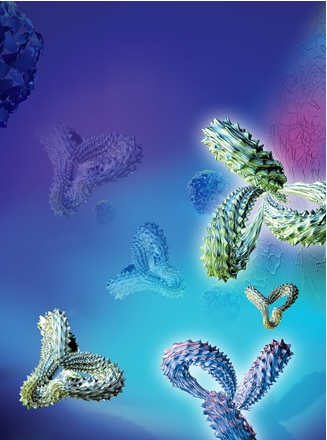 AMSBIO: Exquisite ‘Made-to-Measure’ Phospho-Specific Polyclonal Antibodies
