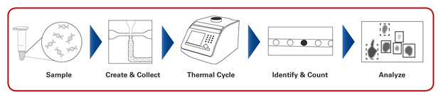 IDT shares comprehensive qPCR resources
