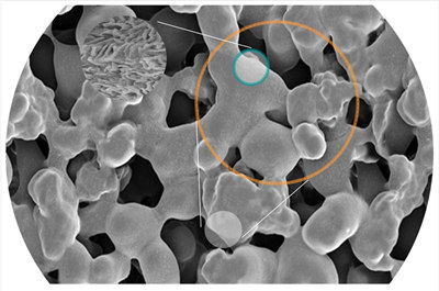 Chromatrap® 96: a new solid-state platform for high-throughput Chromatin Immunoprecipitation (ChIP)