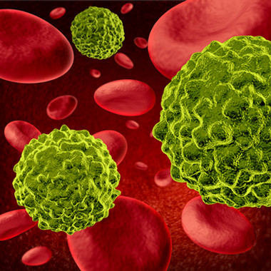 AMSBIO: PD-1 Inhibitor Screening Assay Kit