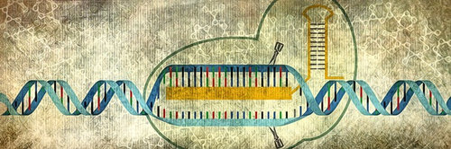 IDT’s CRISPR/Cas9 Online Resource for all Your Genome Editing Needs