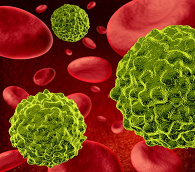 AMSBIO: New tools and services for Immunotherapy discovery
