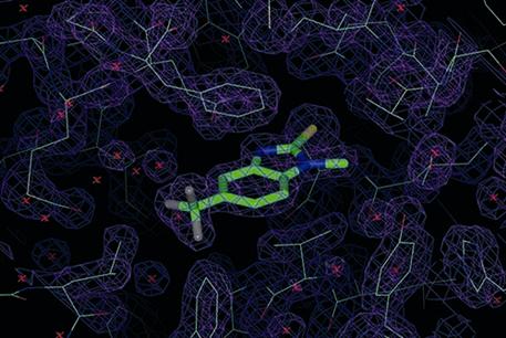 New Pre-validated Fluorinated Fragment Library Boosts Drug Screening Efficiency
