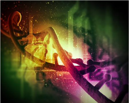AMSBIO: Ready-to-Use Tagged cDNA Clones