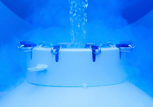 AMSBIO:GMP Grade Cell Cryopreservation Media