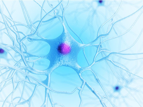 AMSBIO: Protein Delivery Reagent Assists Neurodegeneration Research